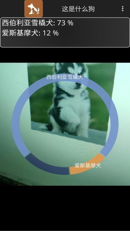 这是什么狗app下载,这是什么狗手机版