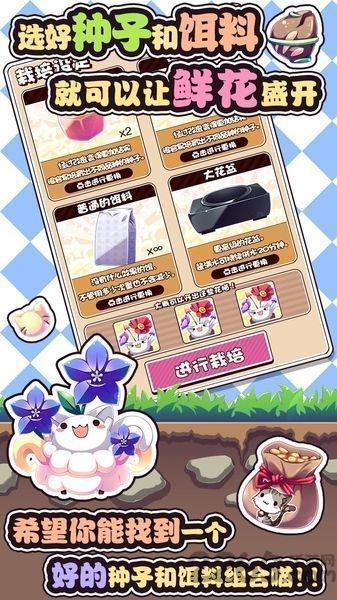 猫咪花盆汉化版下载,猫咪花盆,养成游戏,猫咪游戏