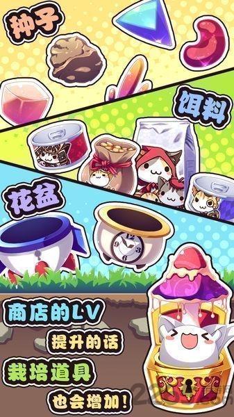 猫咪花盆汉化版下载,猫咪花盆,养成游戏,猫咪游戏