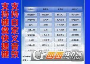 音质音效包,主持类,音效软件.
